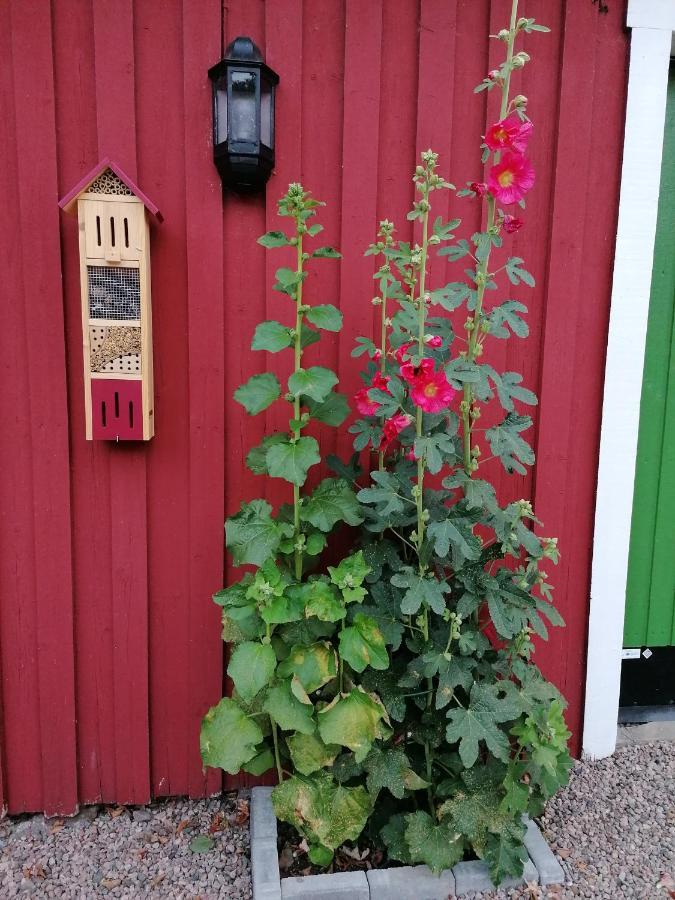 Naturnaera Charmigt Boende Helsingborg Exterior photo